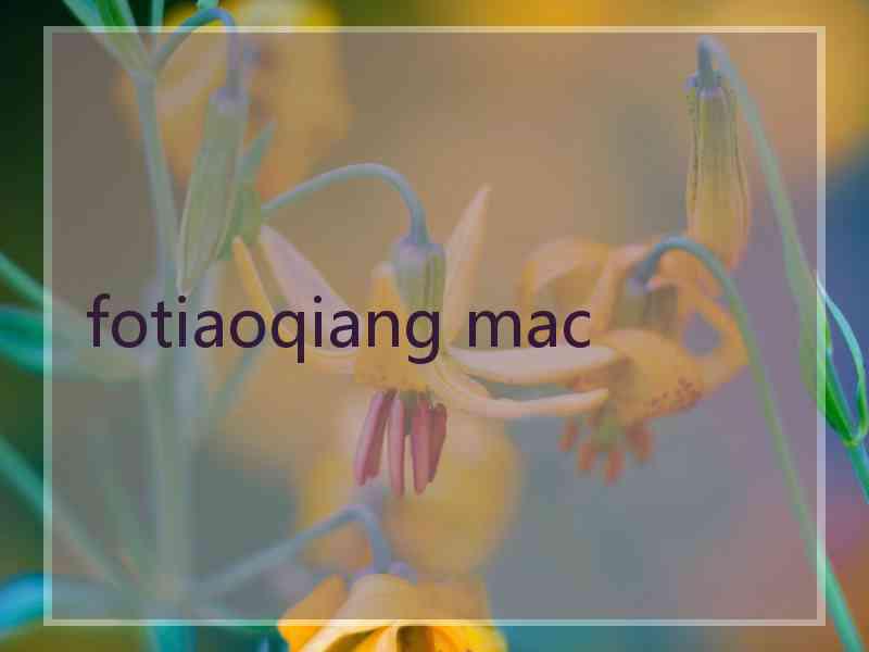 fotiaoqiang mac