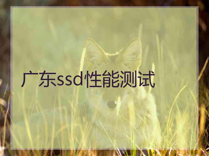 广东ssd性能测试