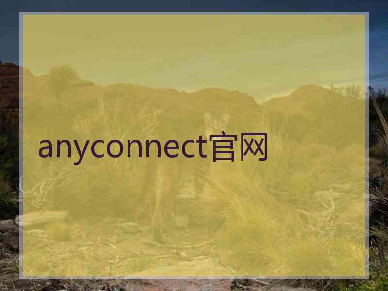 anyconnect官网