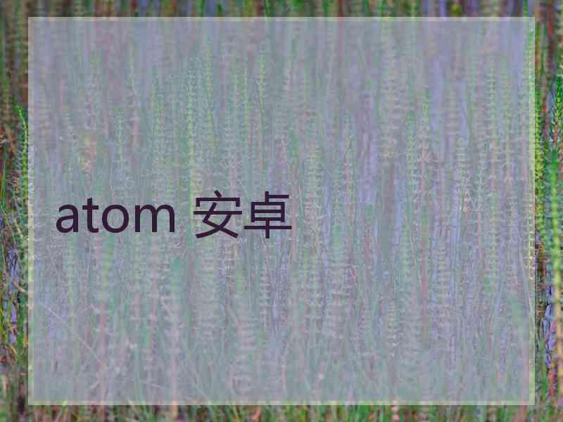 atom 安卓