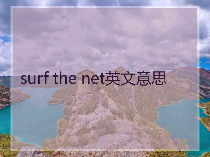 surf the net英文意思