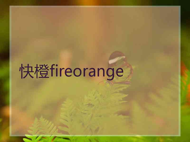 快橙fireorange