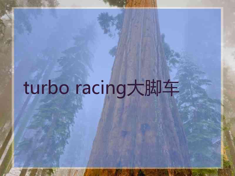 turbo racing大脚车