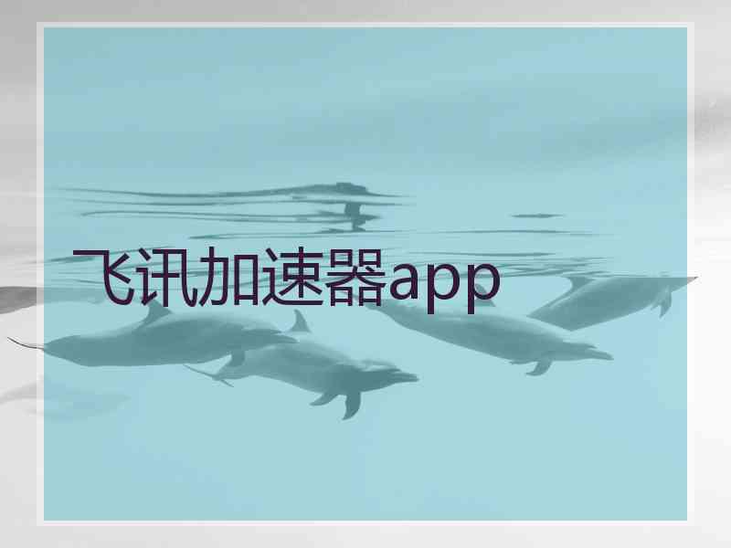飞讯加速器app